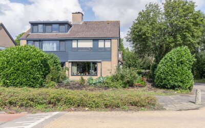 Spieringweg 1029
