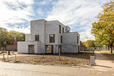 Zomereik 6