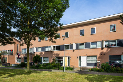 Palmestein 48