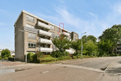 Hofstraweg 204