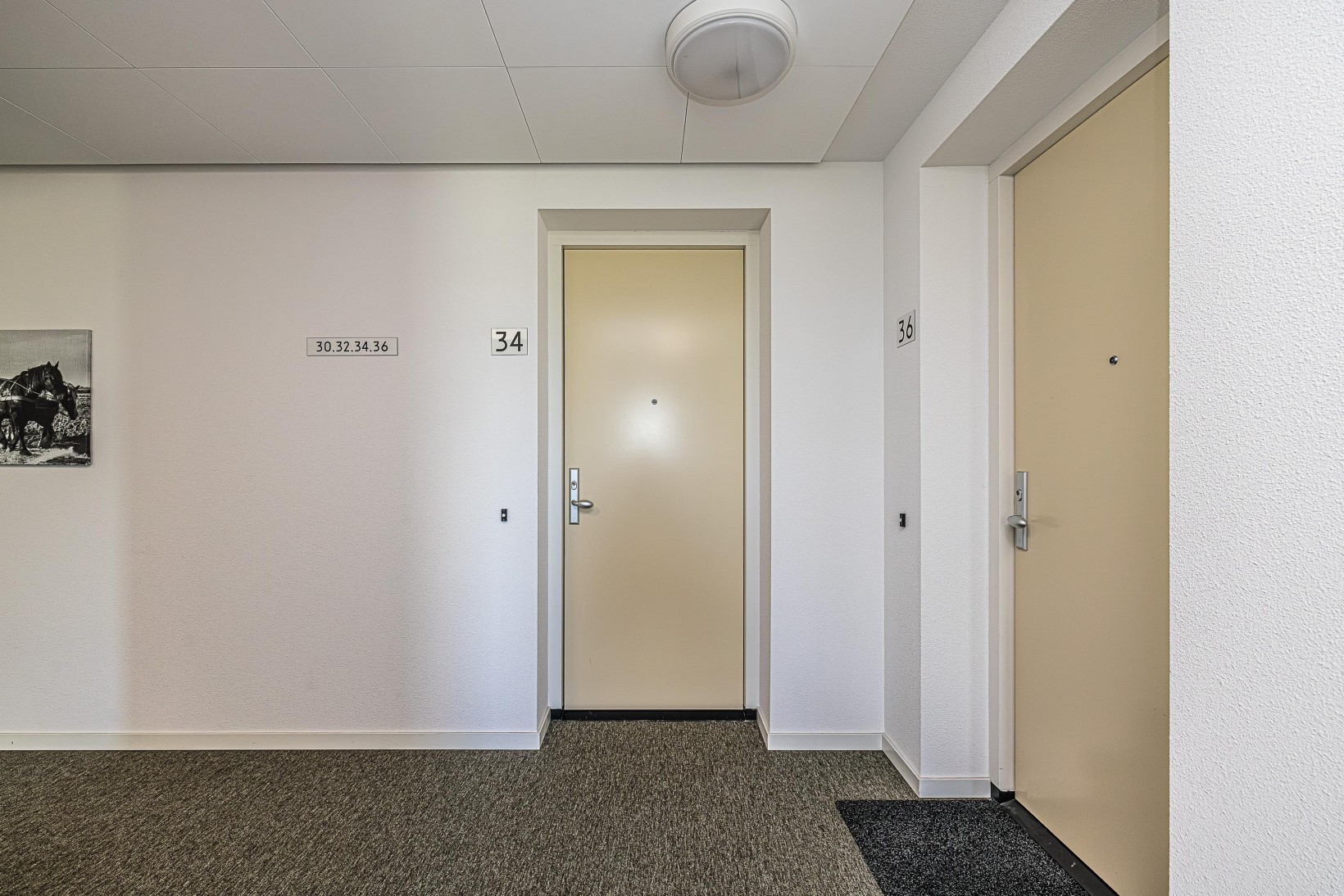 Appartement te koop: Schellinkhout 34, Hillegom