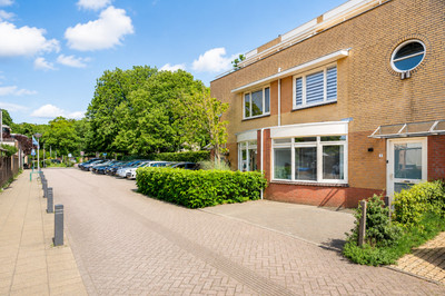 Rozemarijn 3