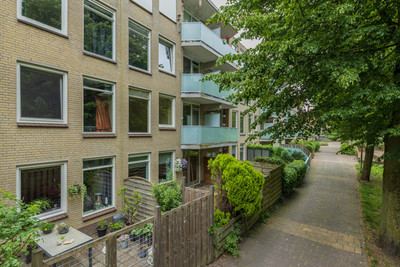 Springtij 56