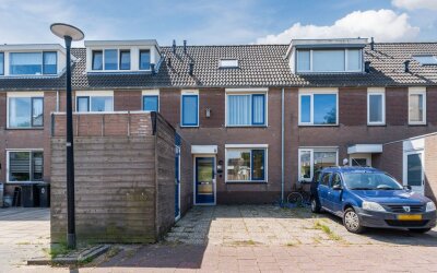 Scholekster 27