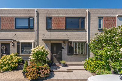 Pioen 15