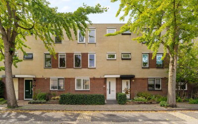Korenbloem 24