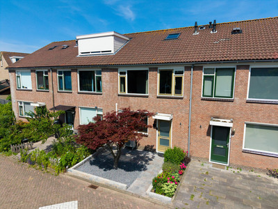 Zwanebloems. 6