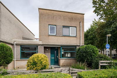 Wintergroen 26