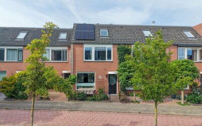 Paardebloem 14