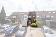 Hoefblad 91
