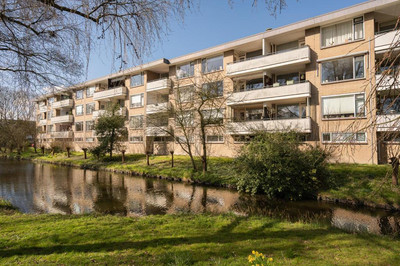 Eikensteins. 59
