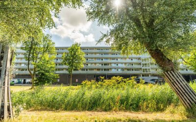 Prins Frede. 219