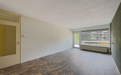 Prins Frede. 231