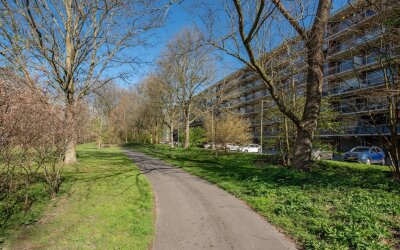 Prins Frede. 432