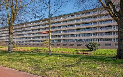 Prinses Ann. 330