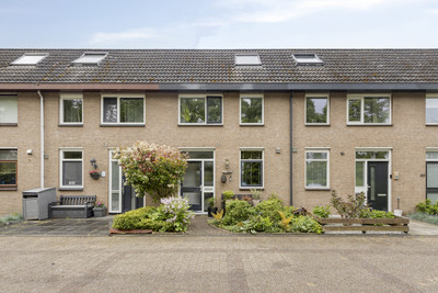 Hoefblad 46