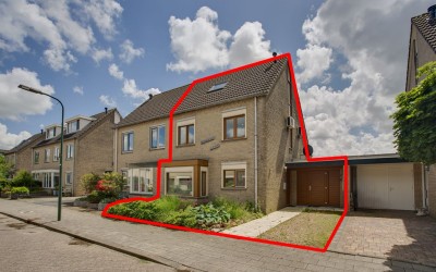 Dotterbloem 9