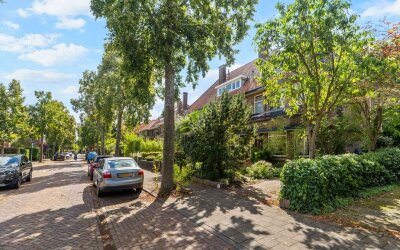Huis te koop Schellinglaan 19