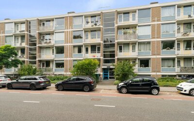 Sint Martin. 101
