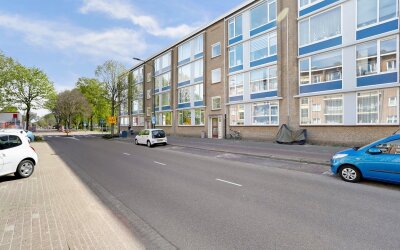 Bruijnings. 254