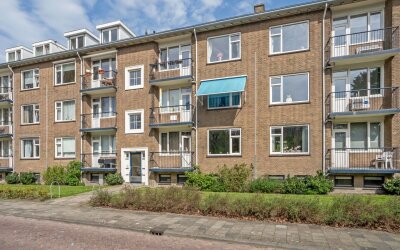 van Zegwaardstraat 294