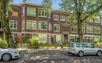 Caan van Necklaan 300