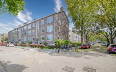 Tulpstraat 24