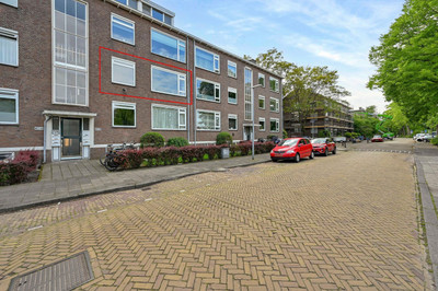 Tulpstraat 36