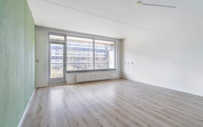 Steenvoorde. 254