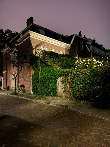Witte Singel 77