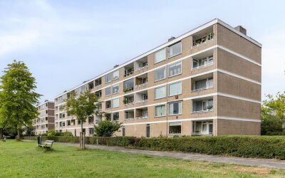 Paramaribos. 119