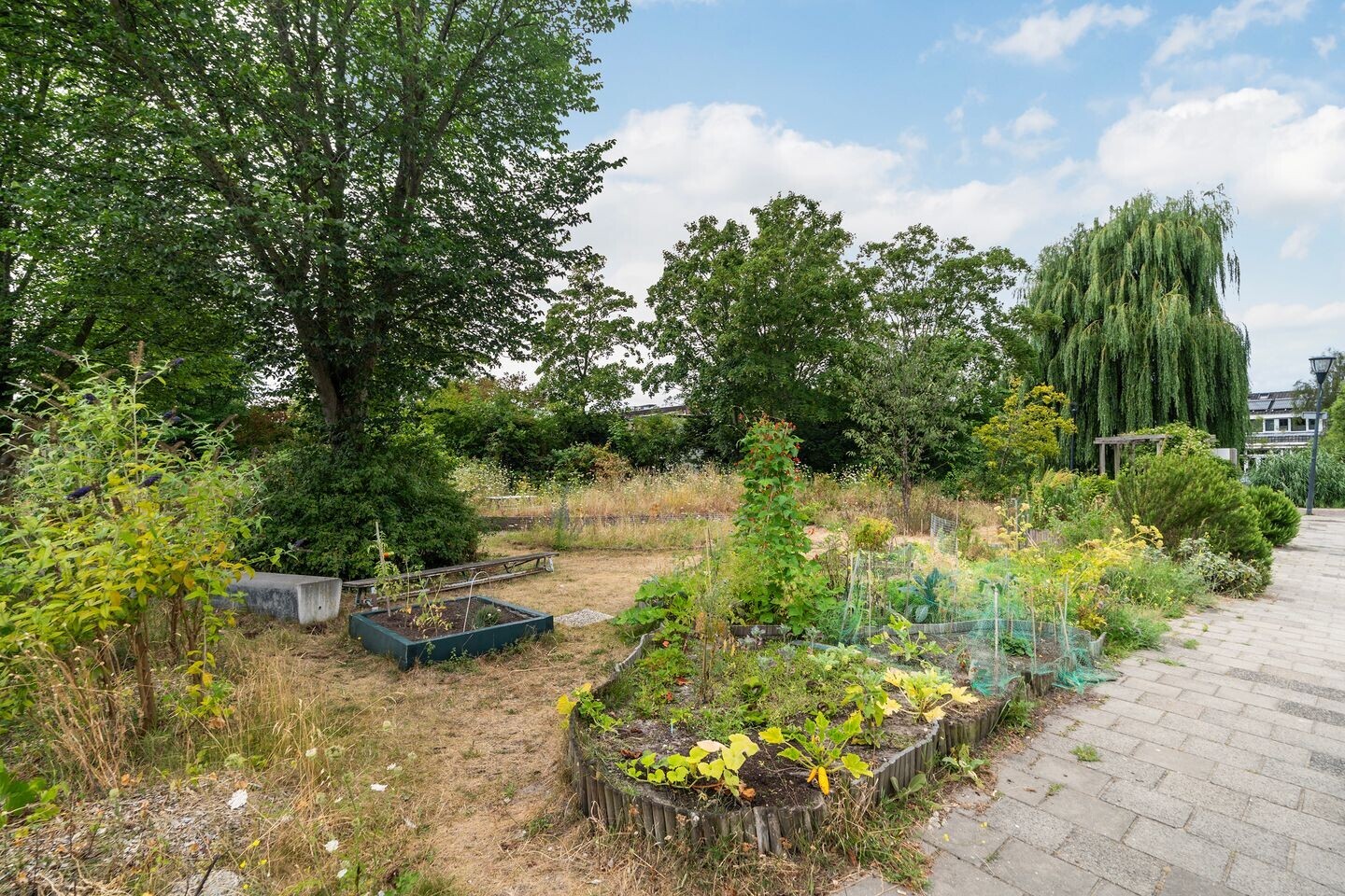 Tussenwoning te koop: Bakker Korffstraat 3, Leiden