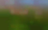 Virulypad 31