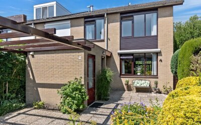 Korenbloem 10