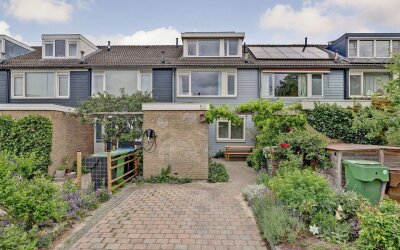 Korenbloem 52