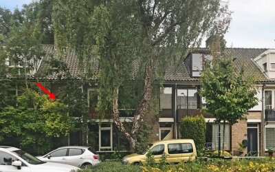 Zocherstraat 10