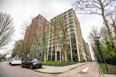 Mangoweg 31