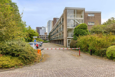 Apollolaan 546
