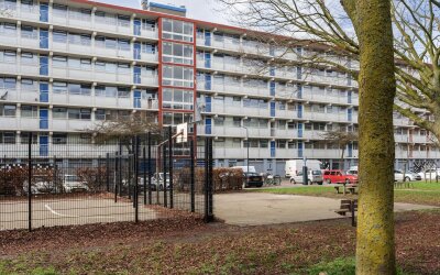Jacques Urlusplantsoen 319