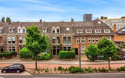 Rijnsburger. 60
