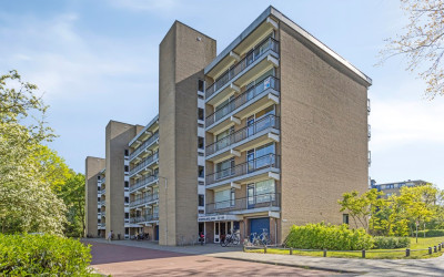 Boerhaavela. 73