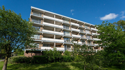 Boerhaavela. 171