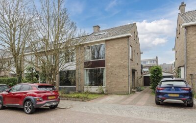 Witte de Wi. 13