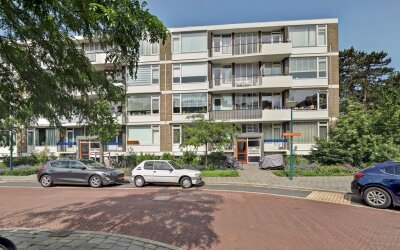 Ridderspoor. 37