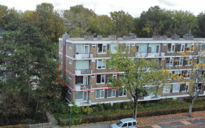 Ridderspoor. 43