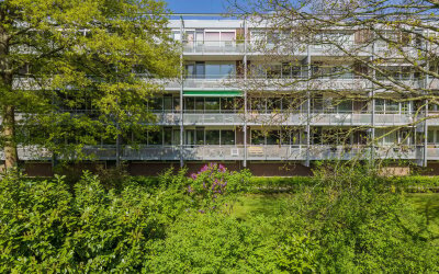Roodborststraat 45