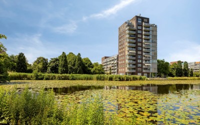 Roodborststraat 57