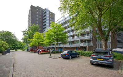 Koolmeesstr. 19
