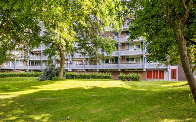 Koolmeesstraat 3