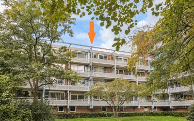 Koolmeesstraat 62